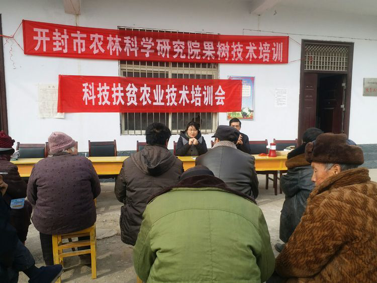 图片13.png 图片13.png