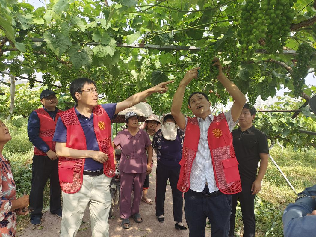 图片8.png 图片8.png