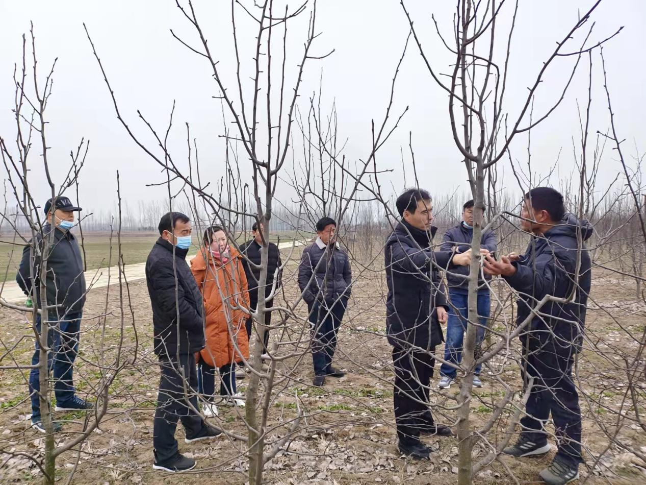 图片12.png 图片12.png