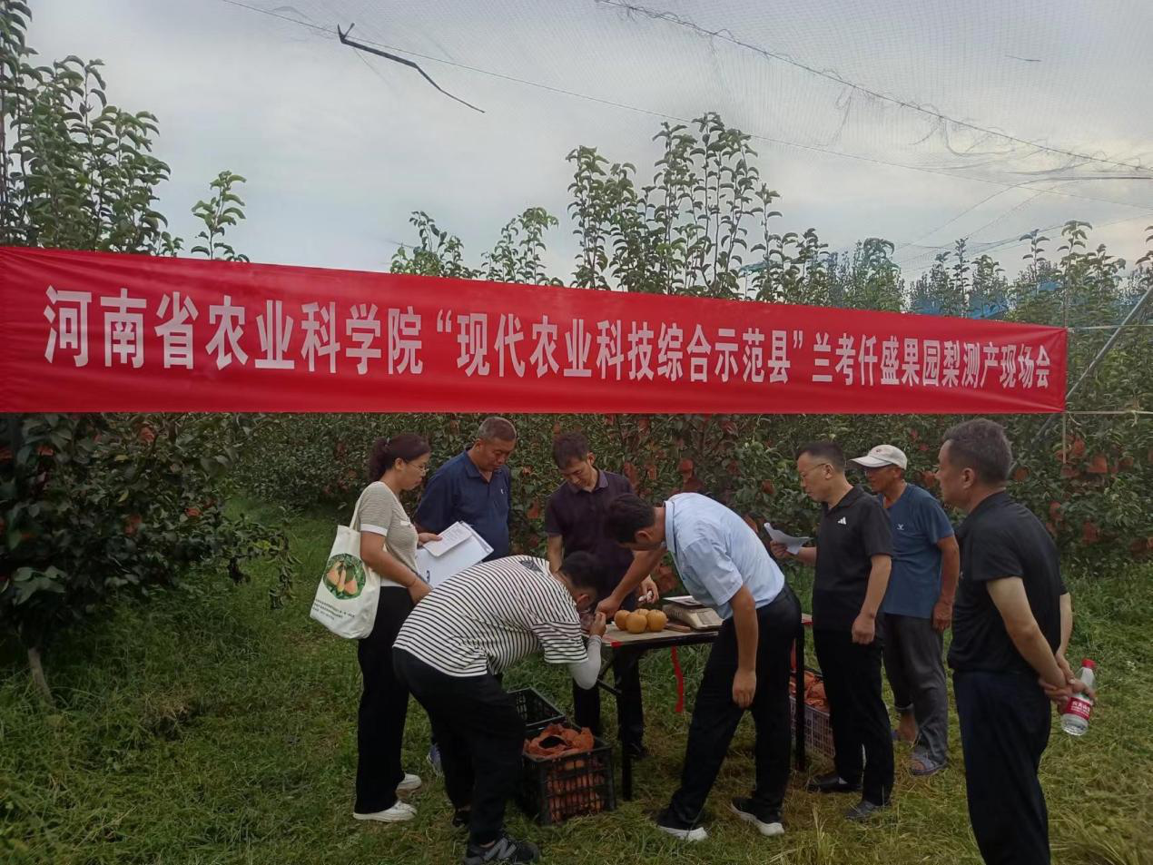 图片3.png 图片3.png